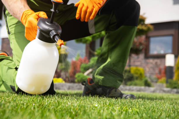 Best Rat Extermination Near Me  in Hillcrest, NY