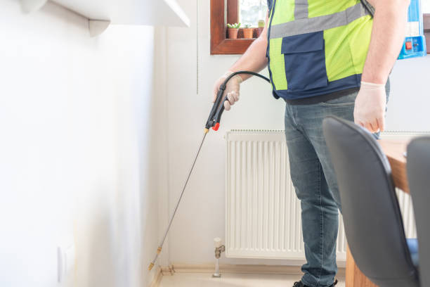 Best Residential Pest Control  in Hillcrest, NY
