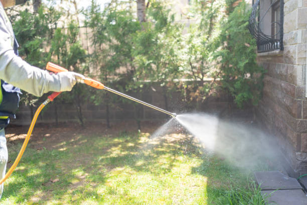 Best Affordable Pest Control Services  in Hillcrest, NY
