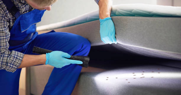 Best Cockroach Control Services  in Hillcrest, NY