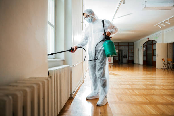 Best Emergency Pest Control  in Hillcrest, NY